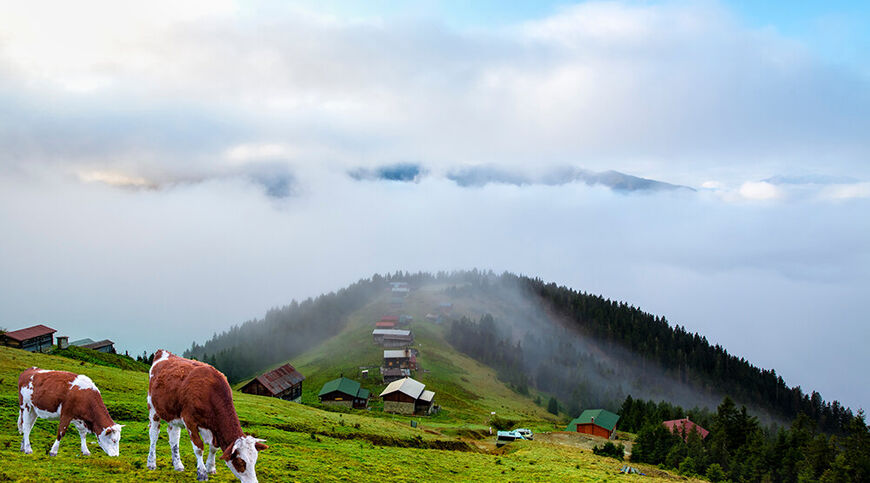 Karadeniz Turu 5 Gece Otel Konaklamalı