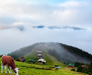 Karadeniz Turu 5 Gece Otel Konaklamalı